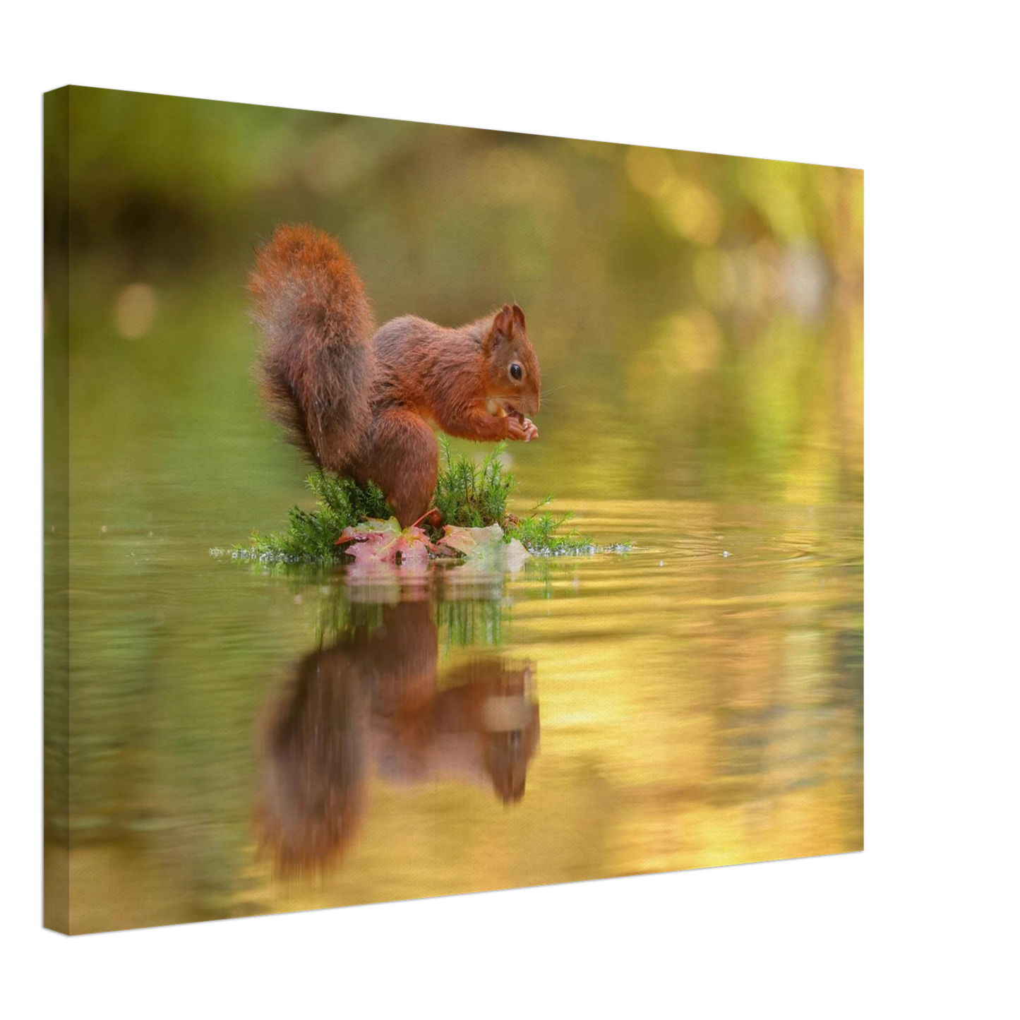 Wandbild bezauberndes eichhoernchen mit nuss lebendige wildtierkunst fuer ihr zuhause