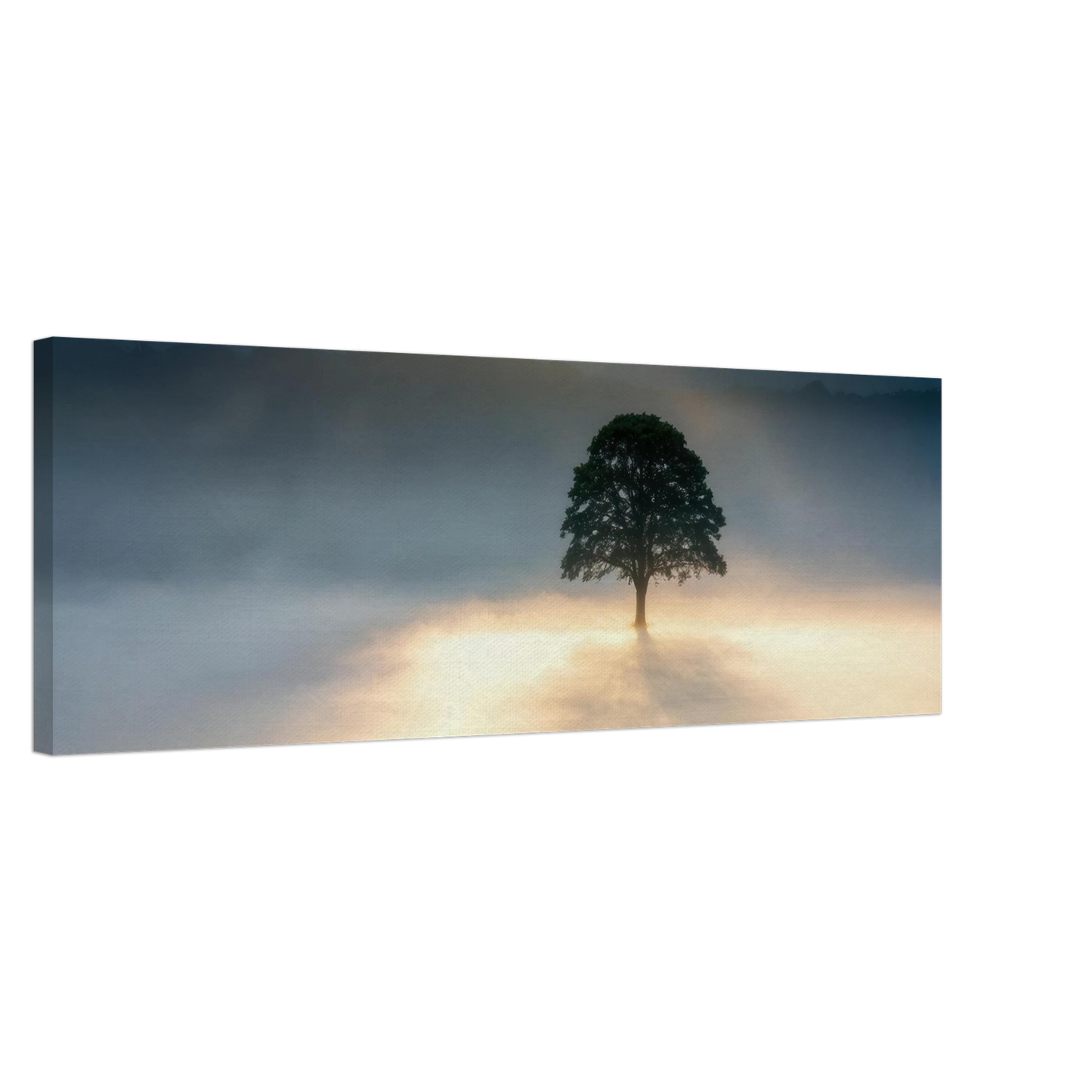 Wandbild mystisches baum wandbild einzelner baum im nebel sonnenaufgang waehlbar in verschiedenen groessen