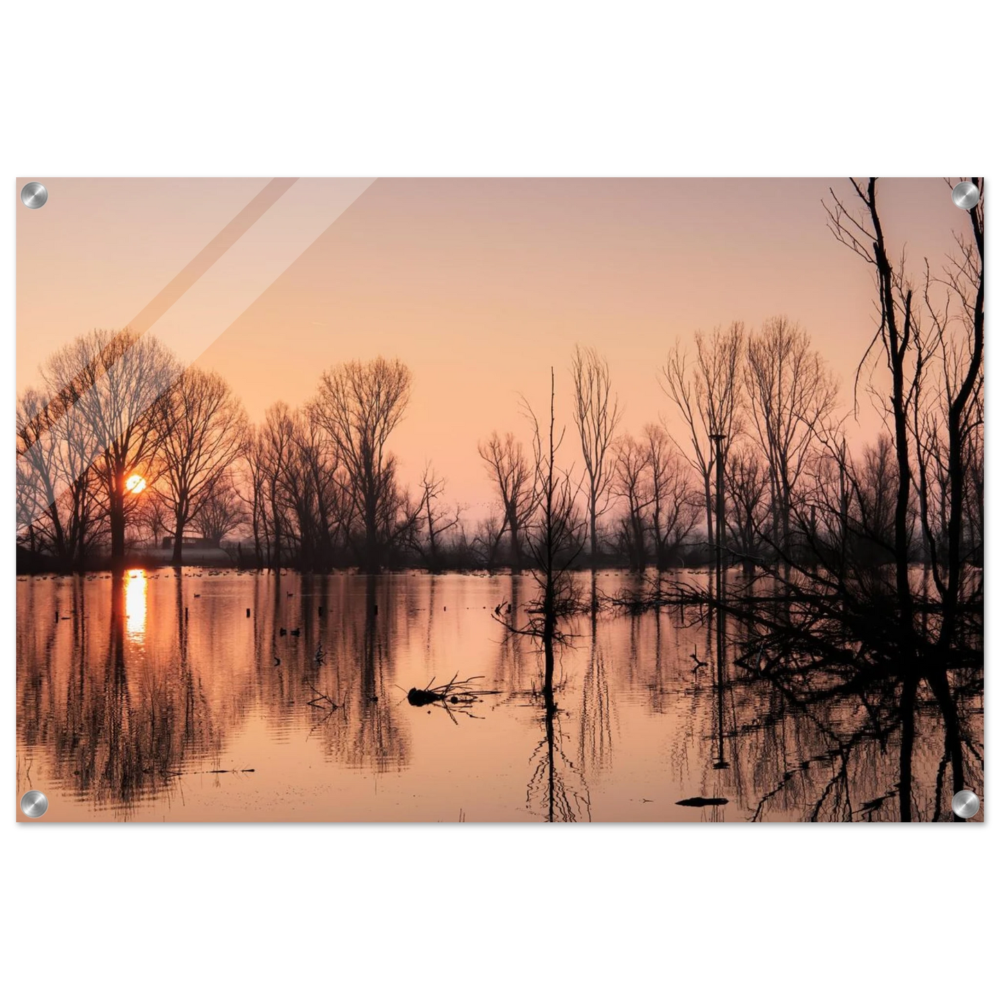 Wandbild mystischer sonnenuntergang am see vertraeumtes naturbild zum aufhaengen in ihrer wunschgroesse