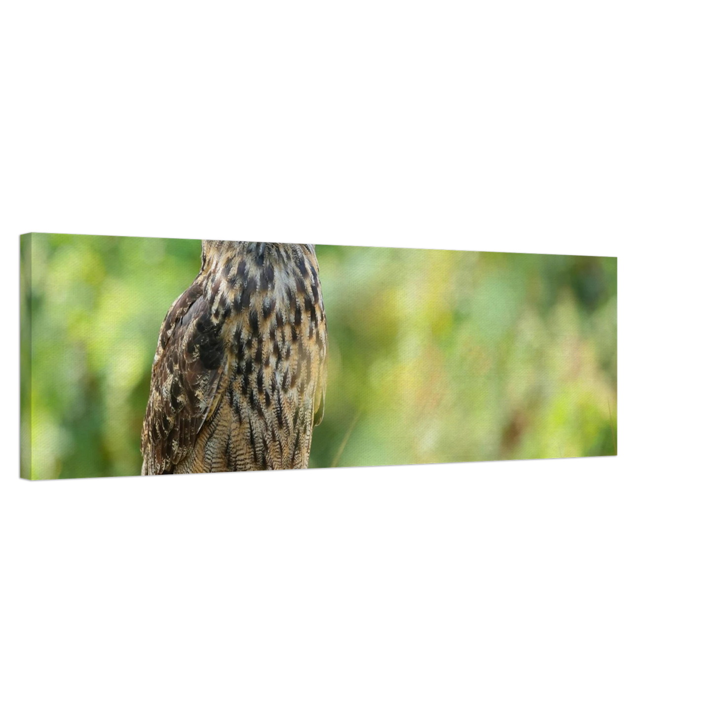 Wandbild mystische eule majestaetisches waldtier mit leuchtenden augen in ihrer wunschgroesse