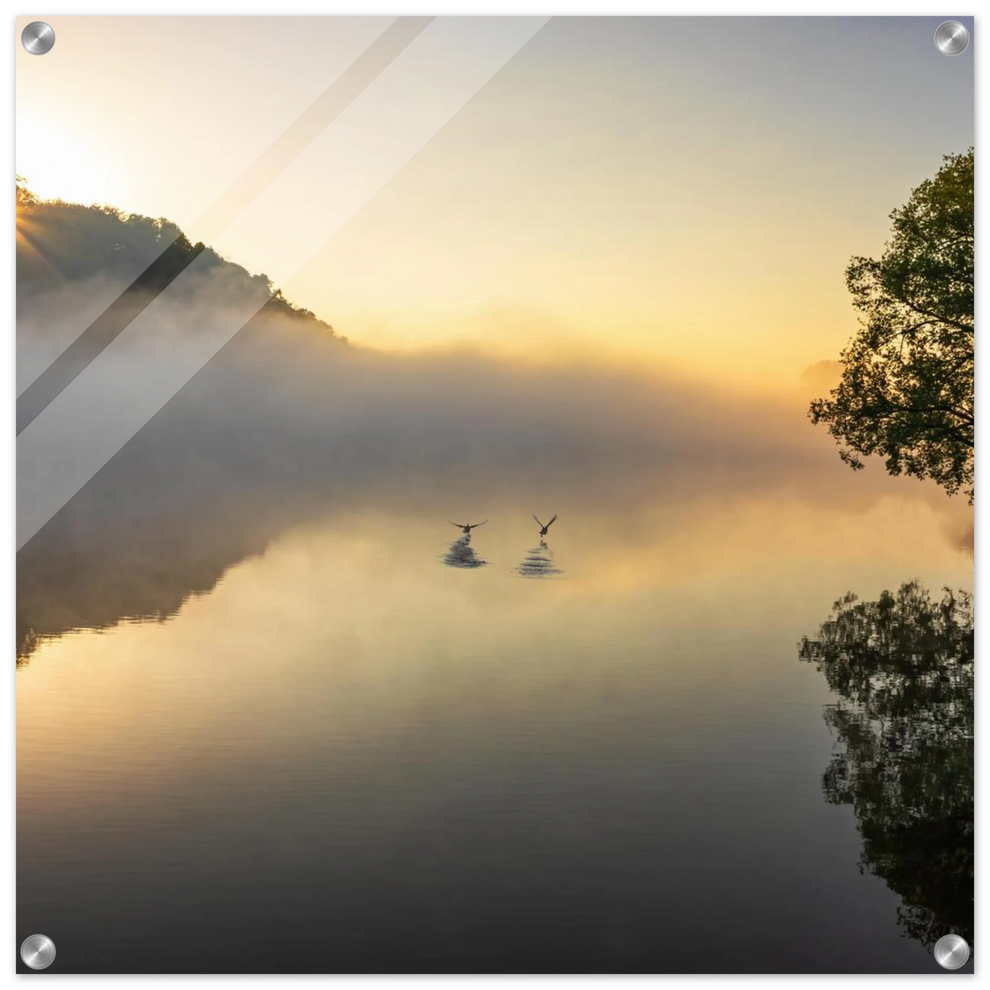 Wandbild mystischer sonnenaufgang ueber dem nebelmeer stille wasser voegel leinwandbild fuer ihr zuhause