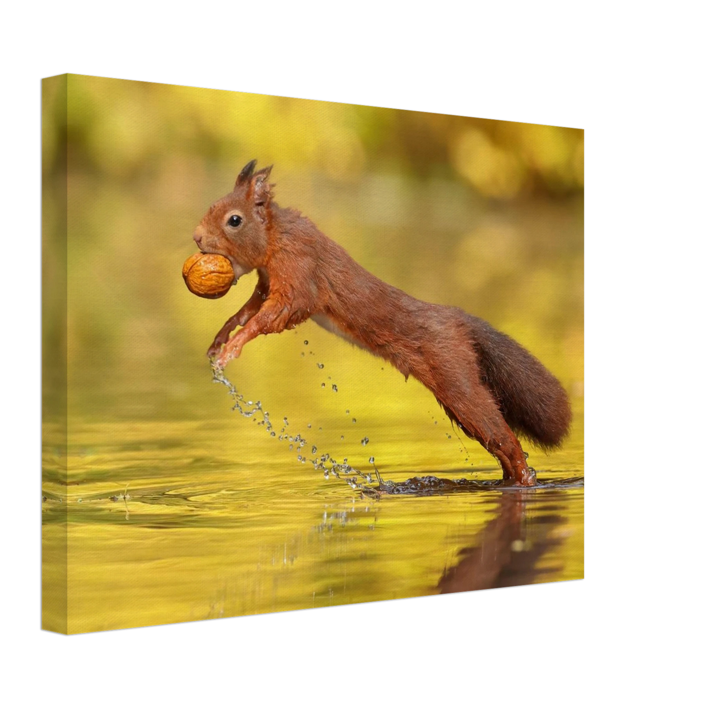 Wandbild eichhoernchen dynamische eichhoernchen kunst in lebhaften herbsttoenen