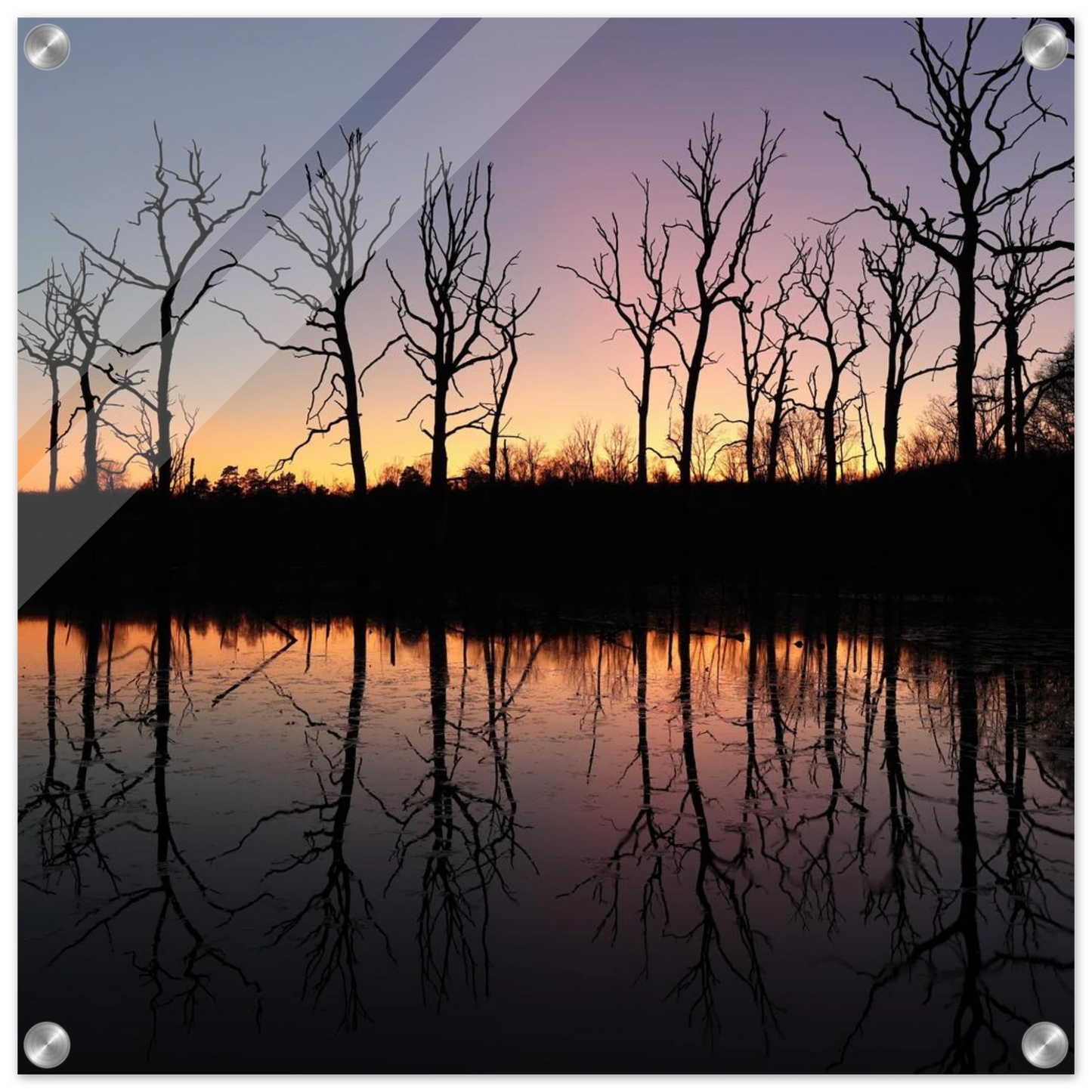 Wandbild sonnenuntergang ueber spiegelndem see magische naturlandschaft mit silhouetten