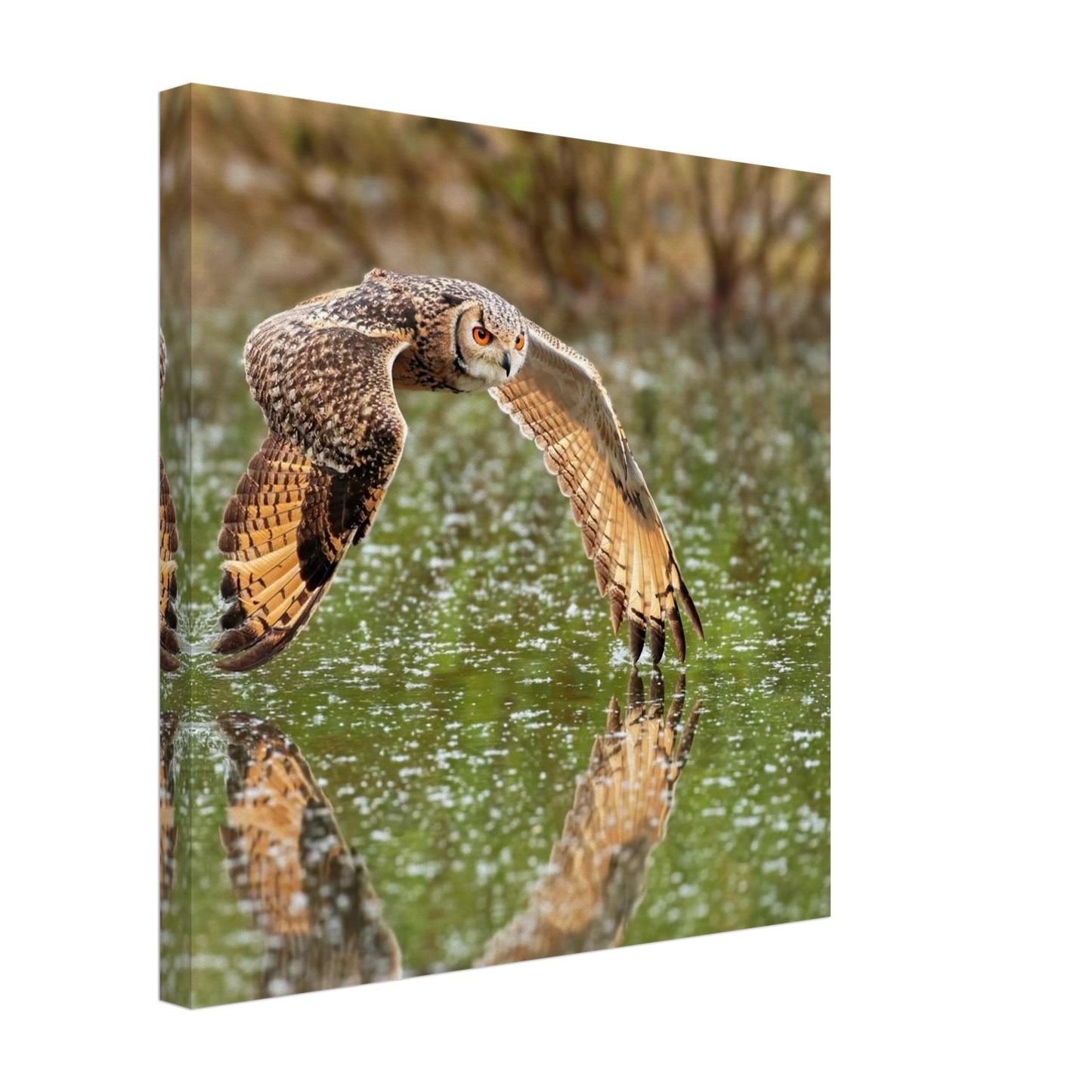 Wandbild majestaetische eule im flug naturfotografie mit lebendigen orangetoenen in ihrer wunschgroesse