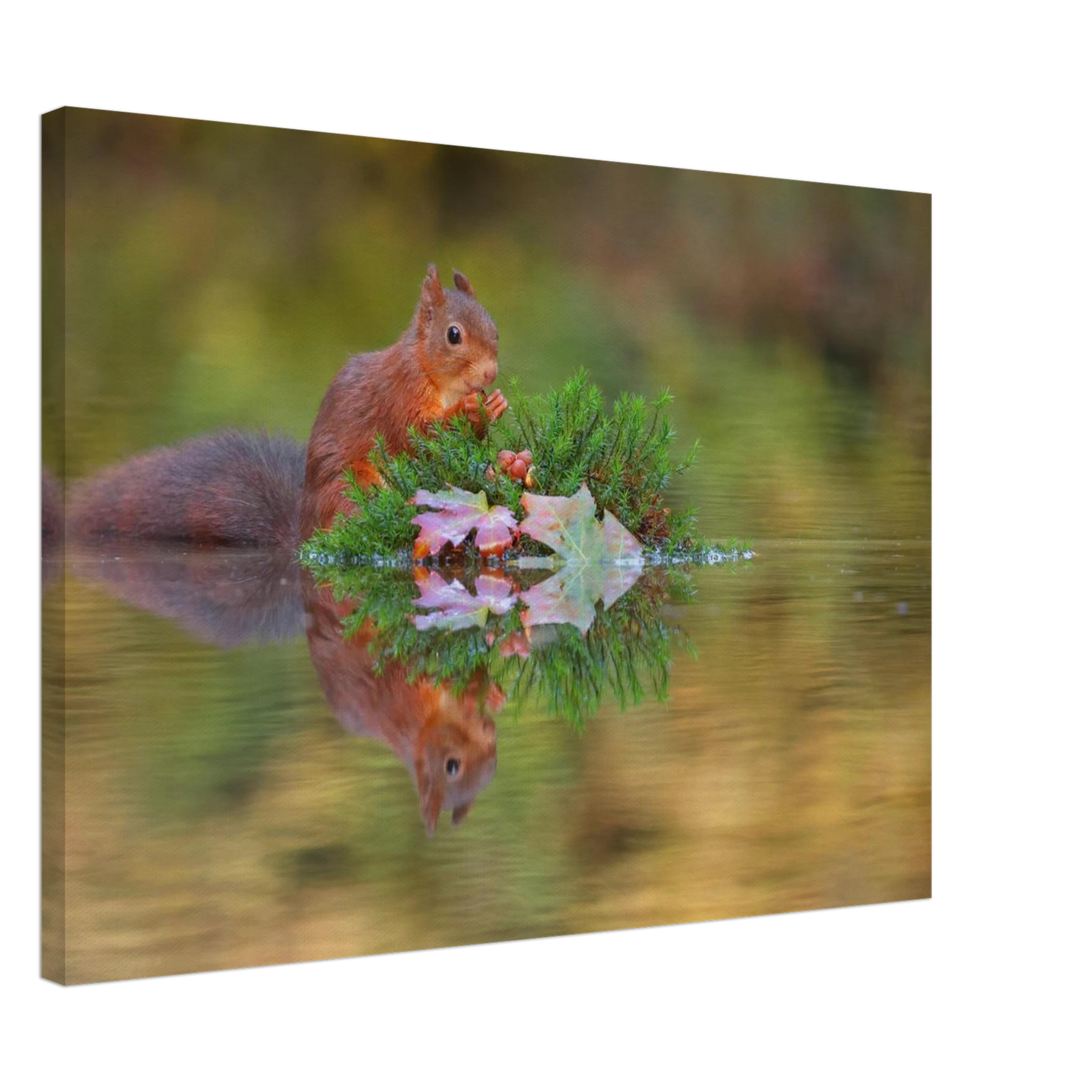 Wandbild bezauberndes eichhoernchen im herbstwald lebendige wildtierkunst fuer ihr zuhause in vielen groessen