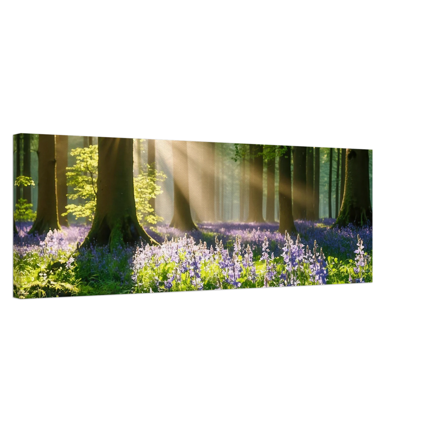 Wandbild mystischer morgenwald mit sonnenstrahlen und lila blueten in vielen groessen