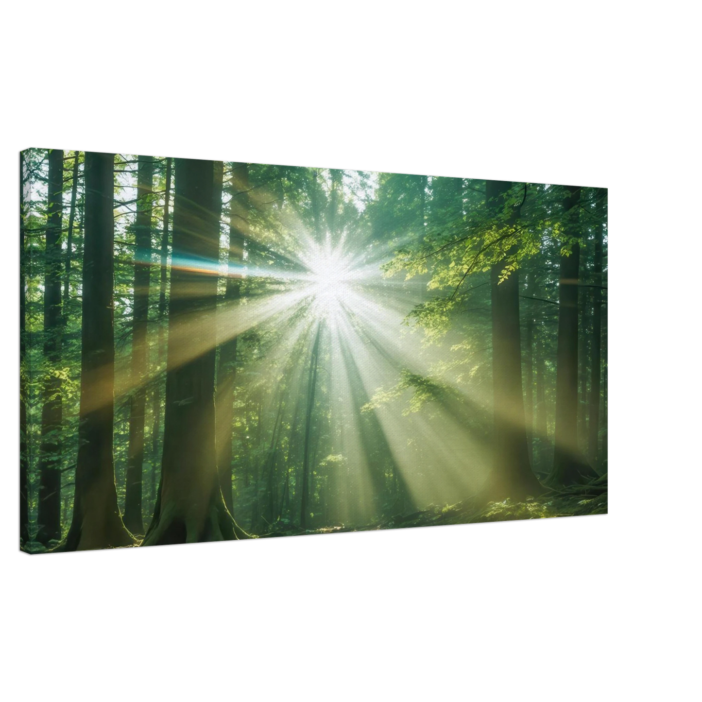 Wandbild sonnenstrahlen im wald mystisches waldlicht kunstdruck in ihrer wunschgroesse